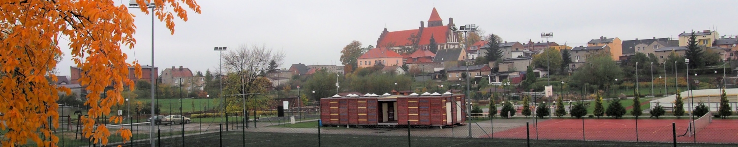 Gmina Radzyń Chełmiński