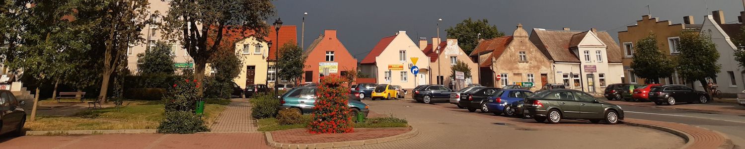 Gmina Radzyń Chełmiński